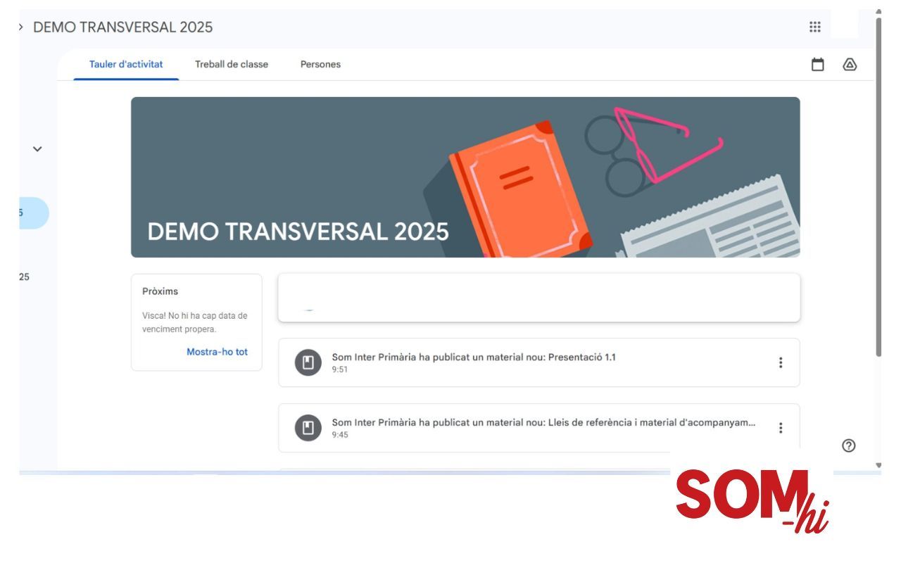 Curs Transversal On-line de Temari Transversal per a les oposicions 2025 a l'ICS