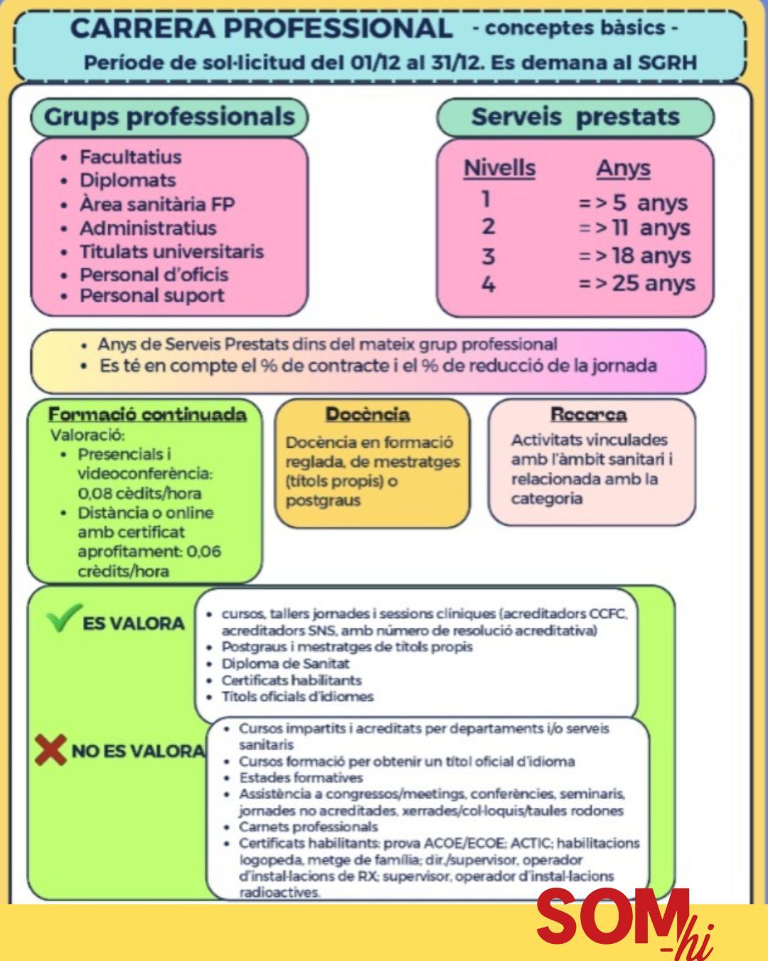 Infografia Resum de Carrera Professional a l'ICS 1