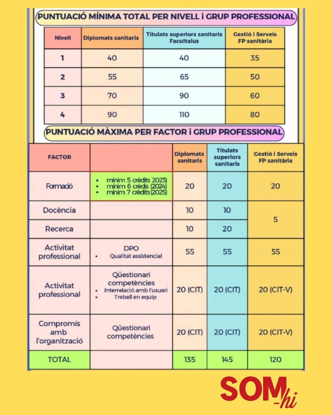Infografia Resum de Carrera Professional a l'ICS 1