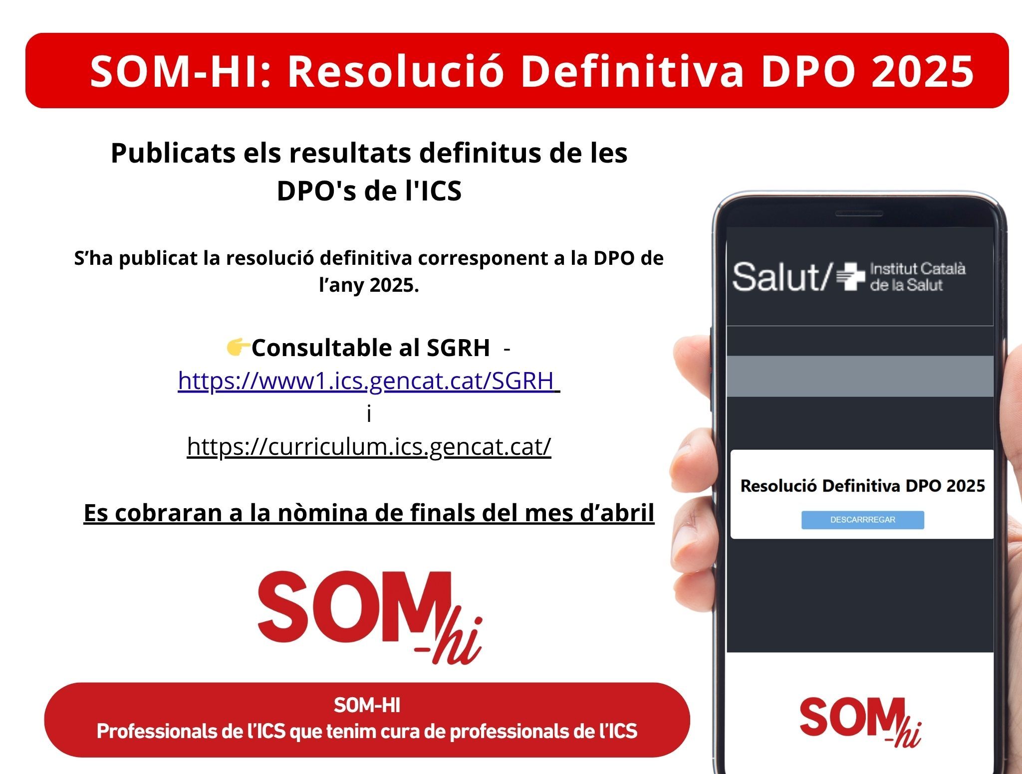 Resolució definitiva DPO 2025 a l'ICS.